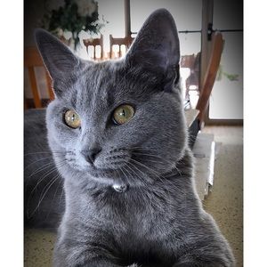 Meet your Posher, Shanette